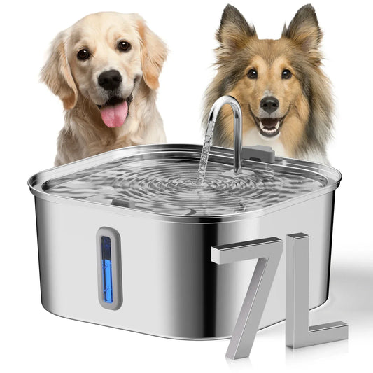 Why Stainless Steel Water Fountains Are Better for Your Dog’s Health