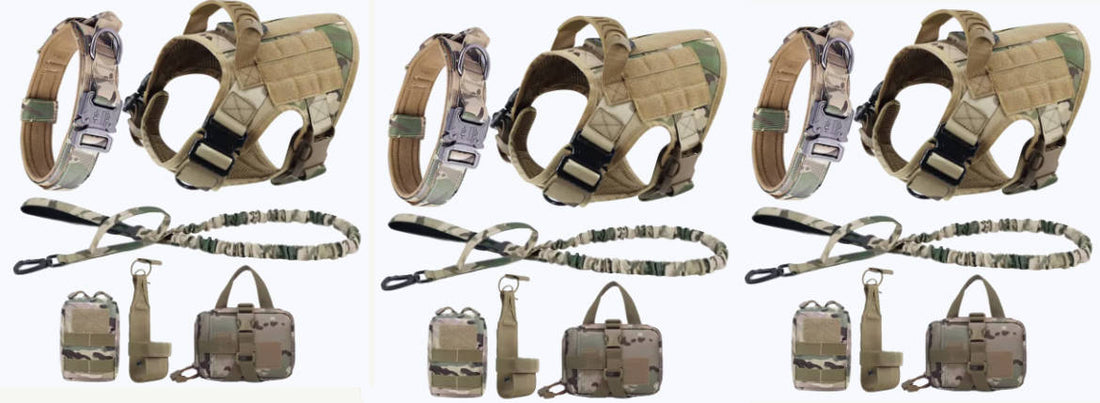 Harness vs. Collar: Why the Right Harness Improves Safety and Control
