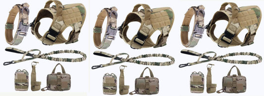 Harness vs. Collar: Why the Right Harness Improves Safety and Control