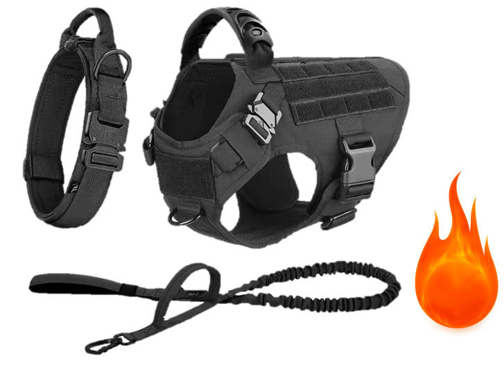 K9 Harness Set