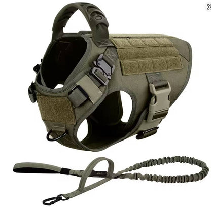 K9 Harness Set