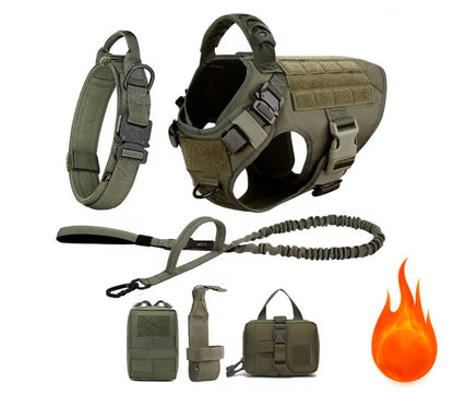 K9 Harness Set