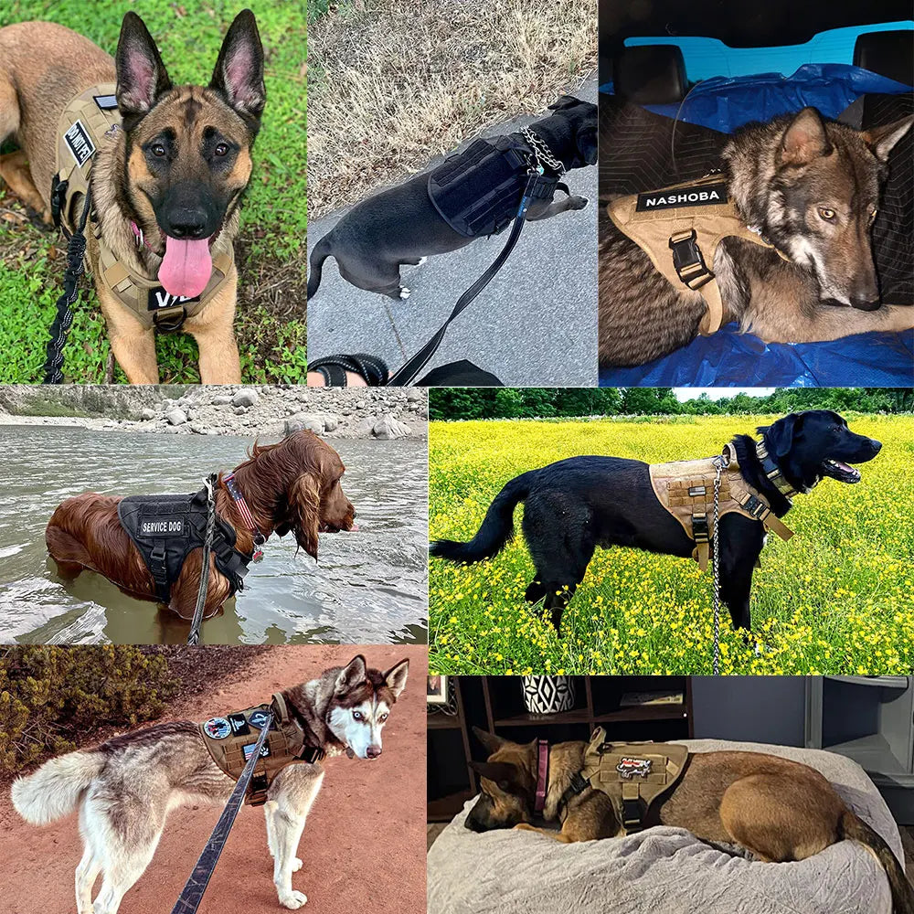 AegisK9 Harness Set image 7