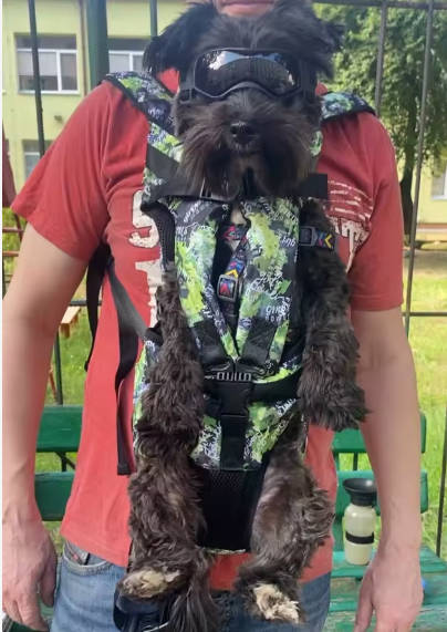 PawHalo Dog Backpack Carrier